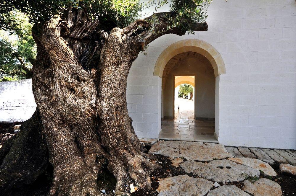 Masseria De Michele Montalbano  Exteriör bild